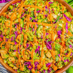 Asian Chicken Salad Recipe