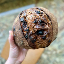 Chocolate Sourdough Bread