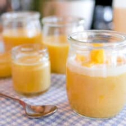 Mango Pudding (Hong Kong Style)