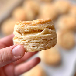 Flaky Sourdough Biscuits
