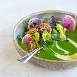 Ten Ingredient Alkalizing Green Soup