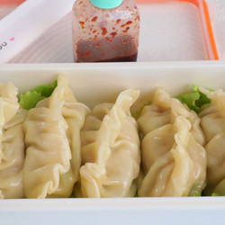 Chicken Dumplings (dakgogi Mandu: 닭고기 만두)