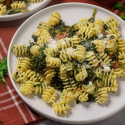 Radiatori With Spinach And Sun-dried Tomatoes