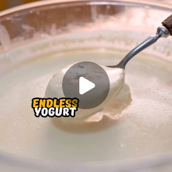 Endless Vegan Yogurt