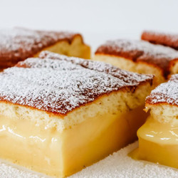 Magic Custard Cake Slice no coconut must dessert