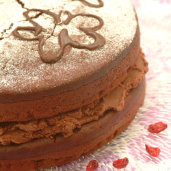 Darkly Divine Vegan Chocolate Fudge Cake