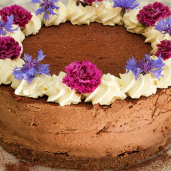 No-bake Chocolate Cheesecake