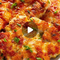 Chicken Fritters