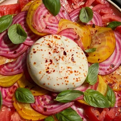 Tomaten Burrata Salade Met Biet