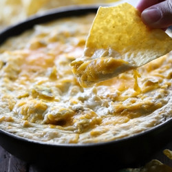 Chile Verde Chicken Cheddar Dip - Chef In Training