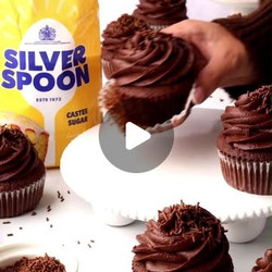 Chocolate Cupcakes