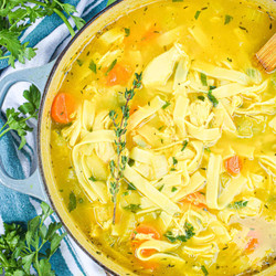 Healing Chicken Noodle Soup