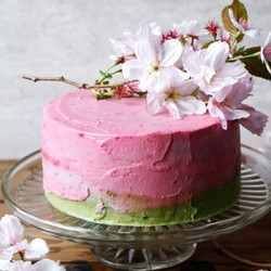 Raspberry Matcha Celebration Cake (gluten-free &amp; Vegan)