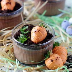 Instant Pot Chocolate Custard | Chocolate Custard