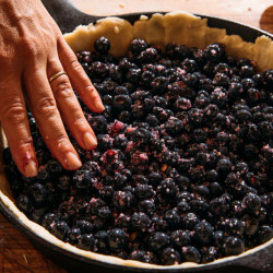 Wild Blueberry Crumble Pie