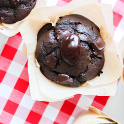 Double Chocolate Muffins
