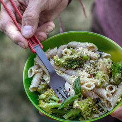 One Pot Lemon Broccoli Pasta