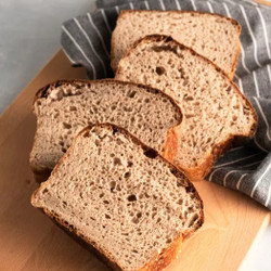 Gluten Free Sourdough Starter