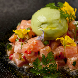 Trout Ceviche With Avocado Sorbet