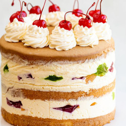 Trifle Sponge Cake Recipe