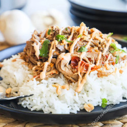 Slow Cooker Thai Style Pork