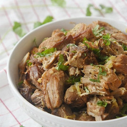 Instant Por Pork Carnitas