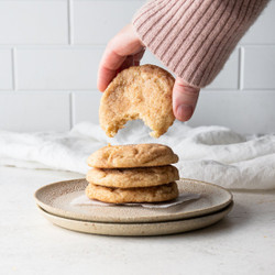 Soft &amp; Chewy Classic Snickerdoodle Cookies (one Bowl!)