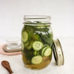 Apple Cider Vinegar Cucumber Pickles With Dill