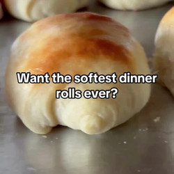 Homemade Dinner Rolls