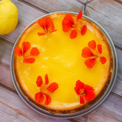 Limoncello Cheesecake