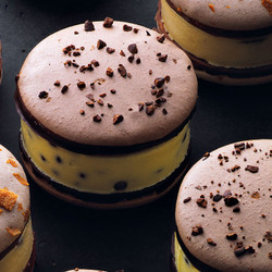 Ice Cream Sandwich