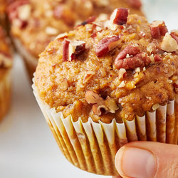 Healthy Pumpkin Muffins
