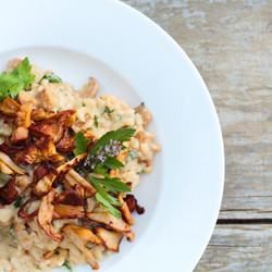 Classic Chanterelle Mushroom Risotto