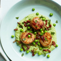 Seared Scallops With Mint, Peas, And Bacon