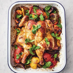 Harissa Spatchcock Chicken Traybake