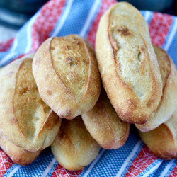 Birotes Salados - Mexican Sourdough Rolls