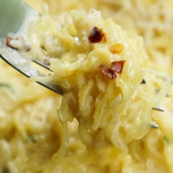 Creamy Garlic Spaghetti Squash Recipe