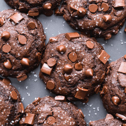 Best Chocolate Muffins