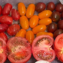 Roasted Tomato Soup