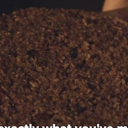 Medieval Gingerbread - use up old bread!
