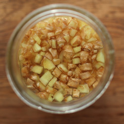How To Make A Ginger Bug