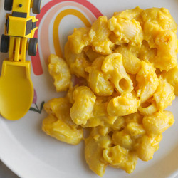 Creamy Butternut Squash Elbows
