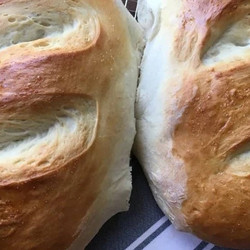 TFN Italian Bread