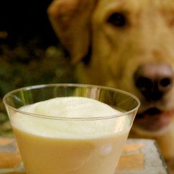 Tinker's Cuddy / Homemade Frosty Paws