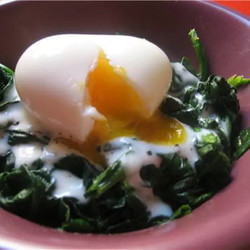 Oeuf Mollet À La Cuisson Parfaite