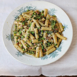 Tortiglioni