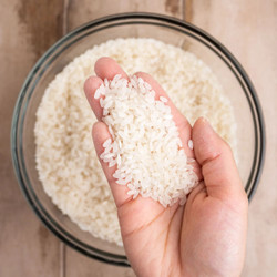Sushi Rice