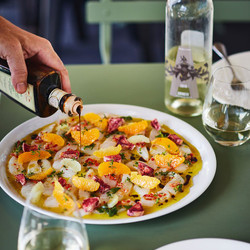 Crudo