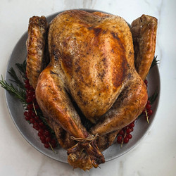 Orange-spiced Roast Turkey