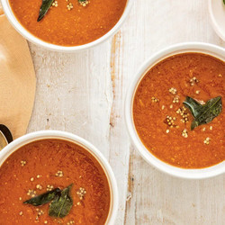 Catherine Phipps: Tomato And Lentil Soup